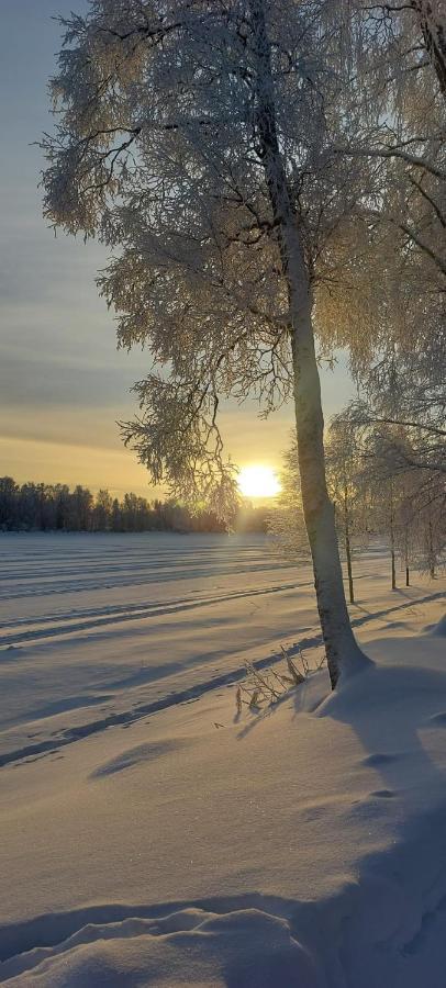 Hotell Hotelli Sodankylae Sodankylä